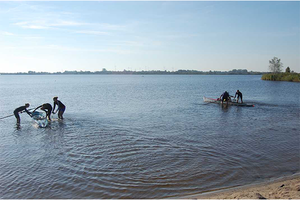 Coastal Rowing in Niedersachsen | rudern.de