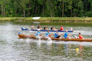 Rudern gegen Krebs 2017 Ulm. Foto: Sabine Trucksäß