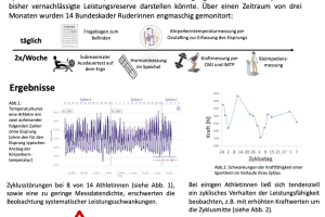 Zyklus orientiertes Training?